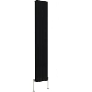 Belfry Heating Shonna Vertical Double Flat Panel Radiator Normal Black 160cm H x 27.2cm W Image