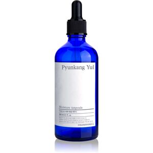 Pyunkang Yul Moisture Ampoule essence with moisturising effect 100 ml Image