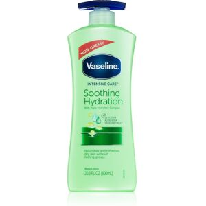 Vaseline Intensive Care soothing body milk with pump Aloe Fresh 600 ml Image