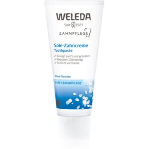 Weleda Dental Care toothpaste with sea salt 75 ml Image