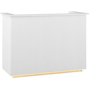 physa Reception Desk - with indirect lighting - lockable - pull-out keyboard shelf PHY_RD_02 Image