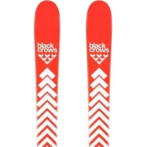 Black Crows Camox Birdie All Mountain Skis (Salmon)  - Pink Image