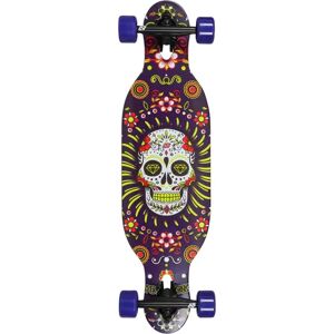 Hydroponic DT Kids Complete Longboard (Mexican Skull Purple)  - Purple Image