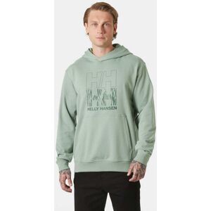 Helly Hansen Men's Core Graphic Sweat Hoodie Green M - Eucalyptus Green - Male Image