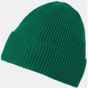 Helly Hansen Wool Beanie Green STD - Emerald Green - Female Image