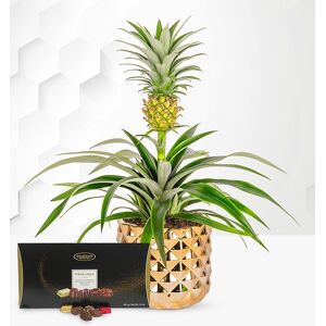 Prestige Flowers Christmas Pineapple with Luxury Chocs Image