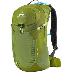 Gregory Men's Citro 24 H20 Hydration Pack, Green Image